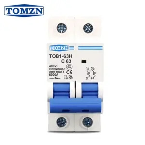 TOMZN AC MCB 2 POLE 10A/16A/ 20A/ 32A /40A 230V