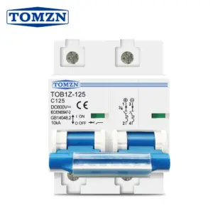 TOMZN DC MCB 2 POLE 100A 600V